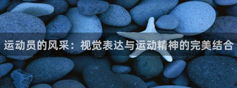 米兰体育网页版