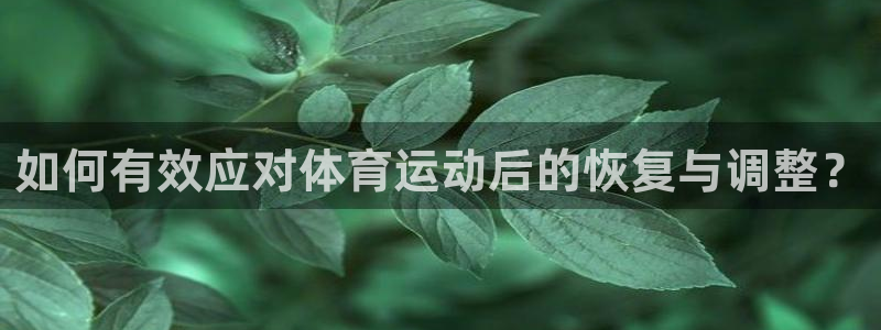 米兰体育网站