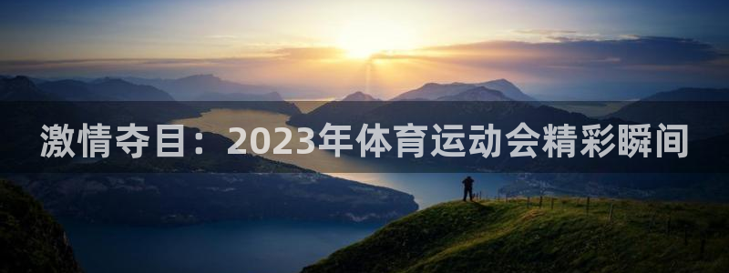米兰体育网页版登录