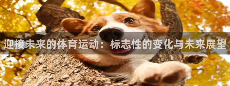 米兰体育场