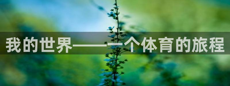 米兰体育网页版