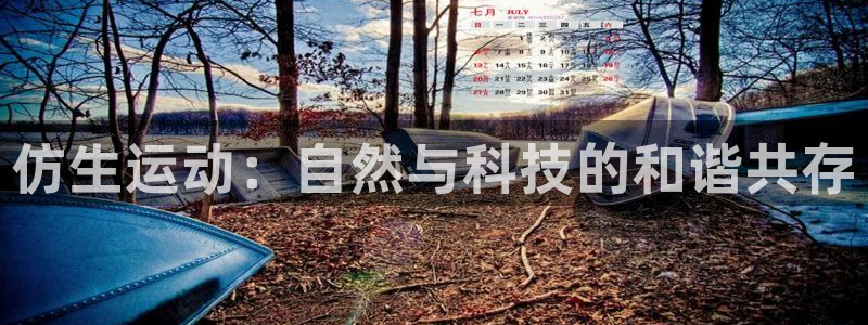 米兰体育下载官网最新版