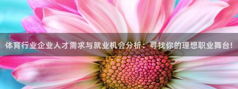 米兰体育在线